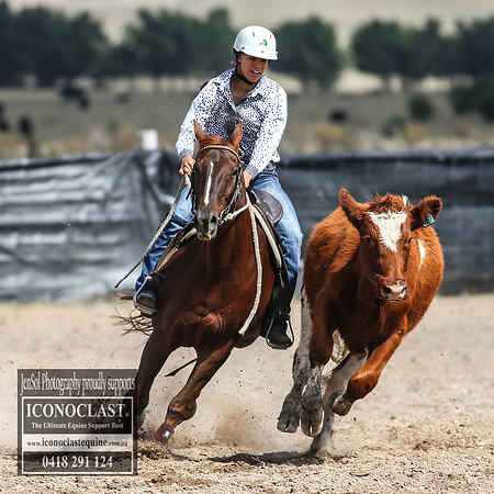 GoulburnCampdraft2018_3119
