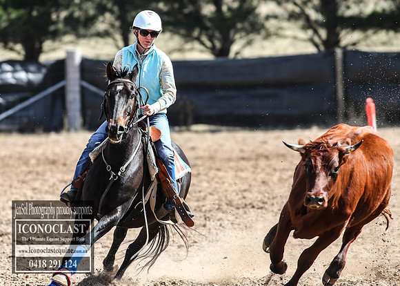 GoulburnCampdraft2018_3313