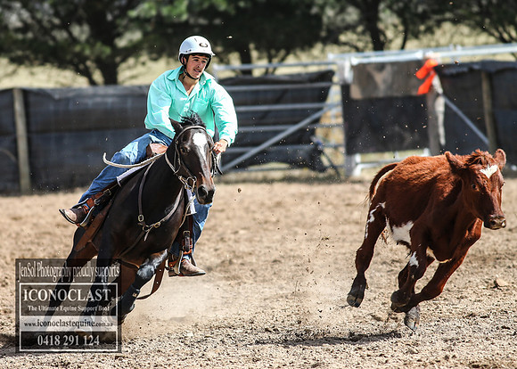 GoulburnCampdraft2018_3069