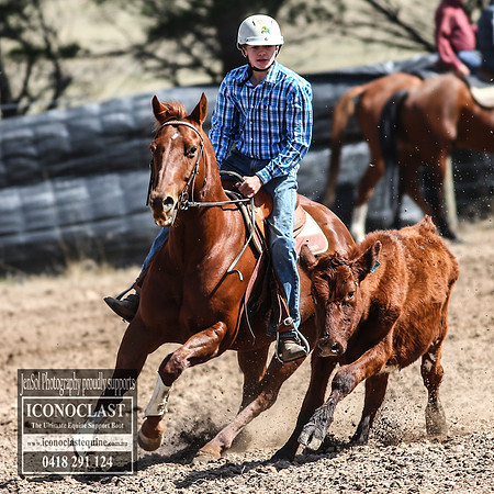 GoulburnCampdraft2018_3159