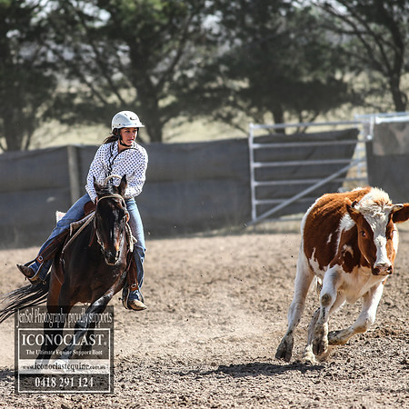 GoulburnCampdraft2018_3397