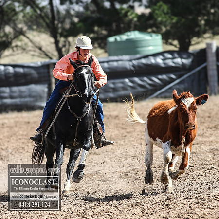 GoulburnCampdraft2018_3244