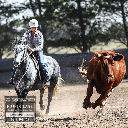GoulburnCampdraft2018_3328