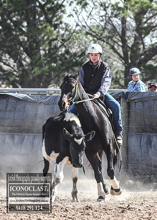 GoulburnCampdraft2018_3361