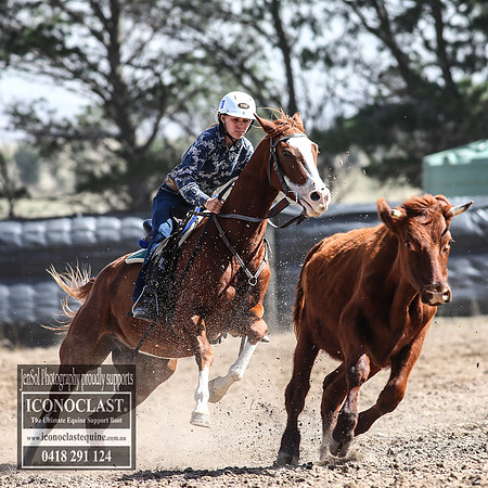 GoulburnCampdraft2018_3331
