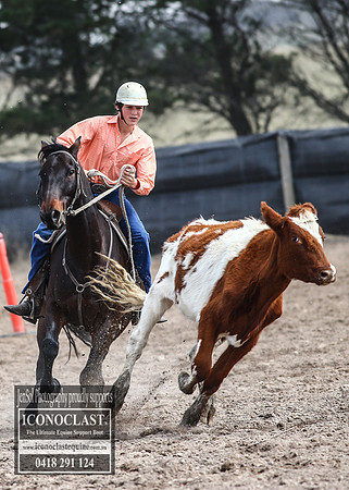 GoulburnCampdraft2018_2976