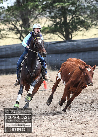 GoulburnCampdraft2018_2944