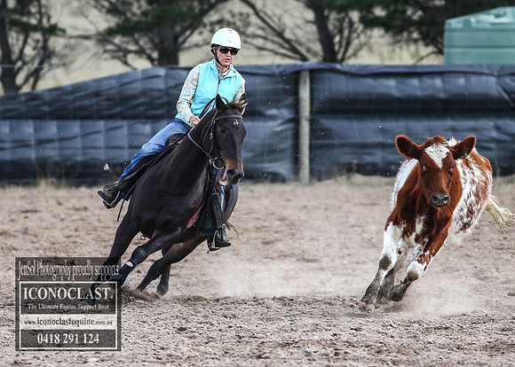 GoulburnCampdraft2018_2972