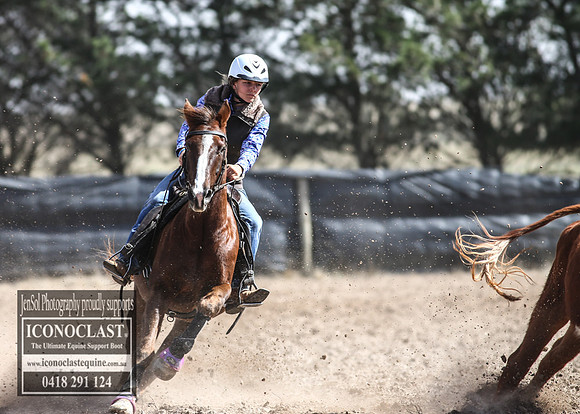 GoulburnCampdraft2018_3346