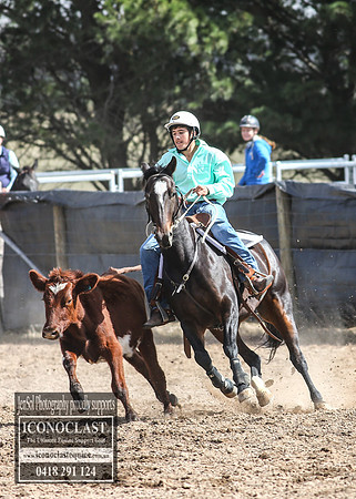GoulburnCampdraft2018_3082