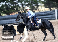 GoulburnCampdraft2018_2851