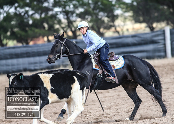 GoulburnCampdraft2018_2851