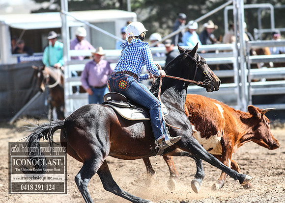 GoulburnCampdraft2018_3267