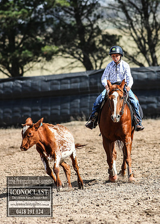 GoulburnCampdraft2018_2763