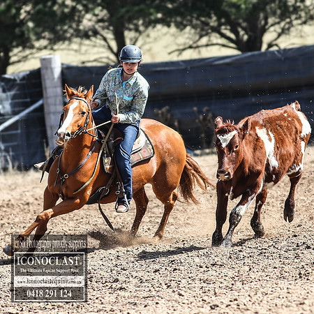 GoulburnCampdraft2018_3151