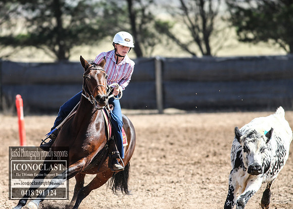 GoulburnCampdraft2018_3186