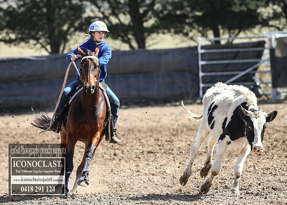 GoulburnCampdraft2018_3216