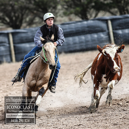 GoulburnCampdraft2018_3016