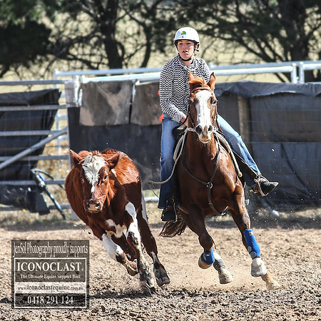 GoulburnCampdraft2018_3212
