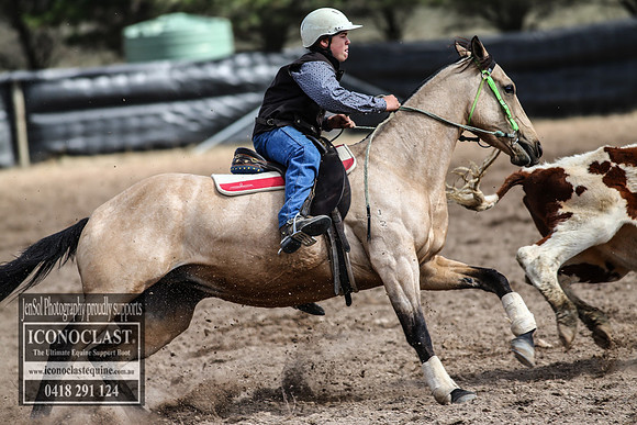 GoulburnCampdraft2018_3029
