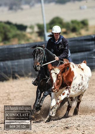 GoulburnCampdraft2018_2929