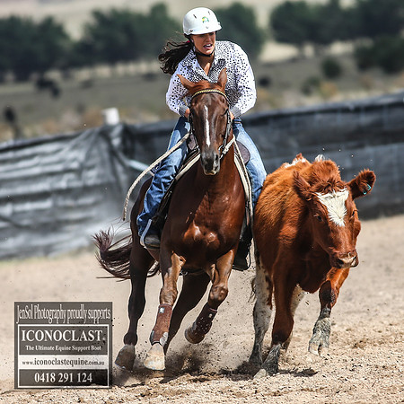 GoulburnCampdraft2018_3130