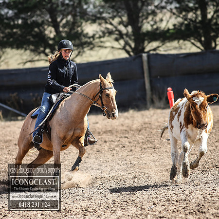 GoulburnCampdraft2018_3196