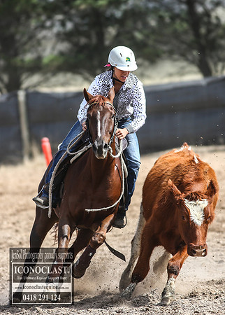 GoulburnCampdraft2018_3108