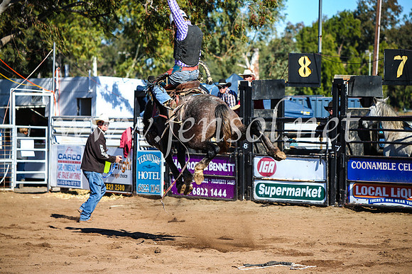 CoonambleRodeoCampdraftMon_6707