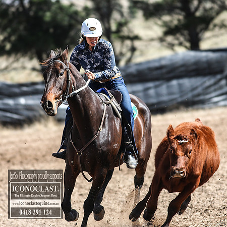 GoulburnCampdraft2018_3167