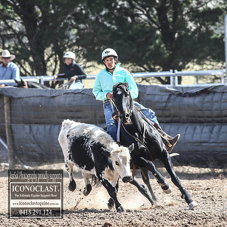 GoulburnCampdraft2018_3377