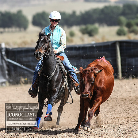 GoulburnCampdraft2018_3317