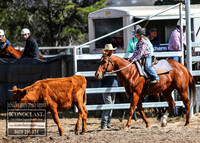 GoulburnCampdraft2018_2755
