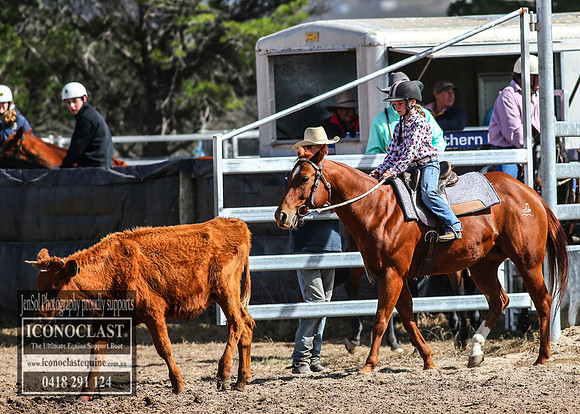 GoulburnCampdraft2018_2755