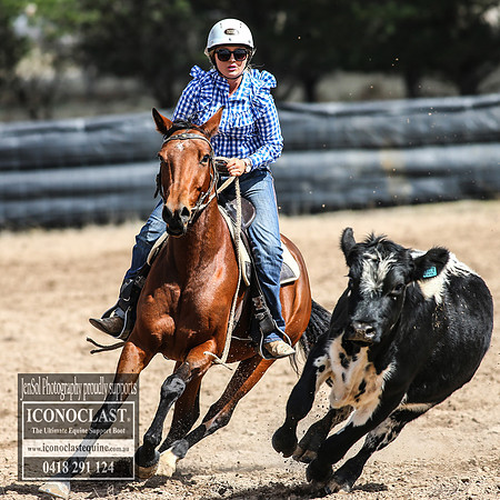 GoulburnCampdraft2018_2915