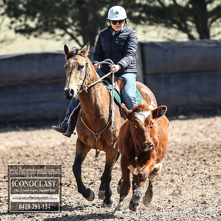 GoulburnCampdraft2018_3194