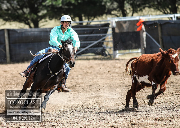 GoulburnCampdraft2018_3074
