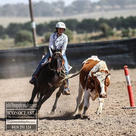 GoulburnCampdraft2018_3412