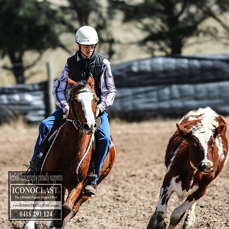 GoulburnCampdraft2018_3140