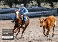GoulburnCampdraft2018_2868