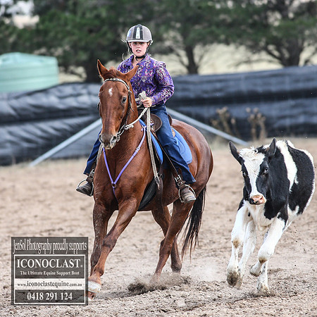 GoulburnCampdraft2018_2899