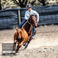 GoulburnCampdraft2018_2871