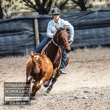 GoulburnCampdraft2018_2871