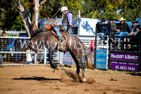CoonambleRodeoCampdraftMon_6718