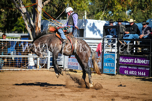 CoonambleRodeoCampdraftMon_6718