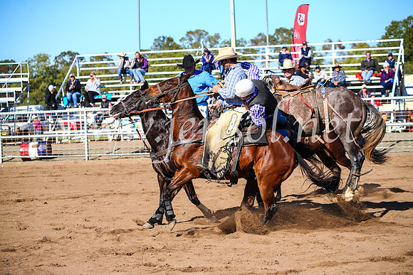 CoonambleRodeoCampdraftMon_6742