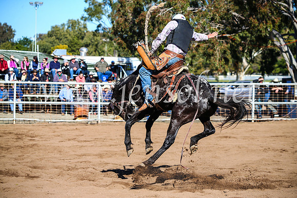 CoonambleRodeoCampdraftMon_6776