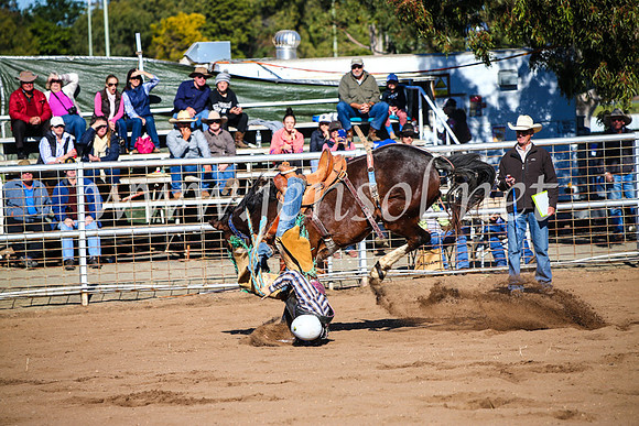 CoonambleRodeoCampdraftMon_6670