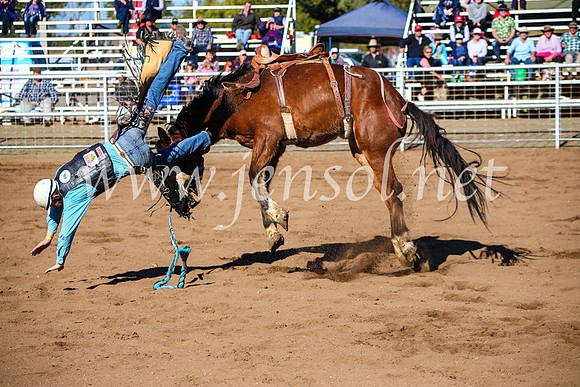 CoonambleRodeoCampdraftMon_6680