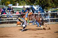 CoonambleRodeoCampdraftMon_6676